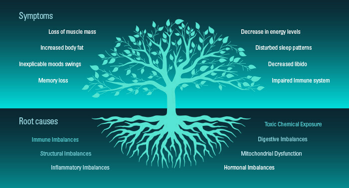 infographic with a tree explaining the symptoms and root causes of chronic diseases