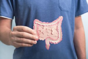 Person Holding Paper Cutout of Digestive System