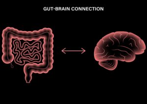 The Link Between The Gut And Serotonin