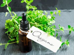 Harnessing The Health Benefits Of Oregano Oil 