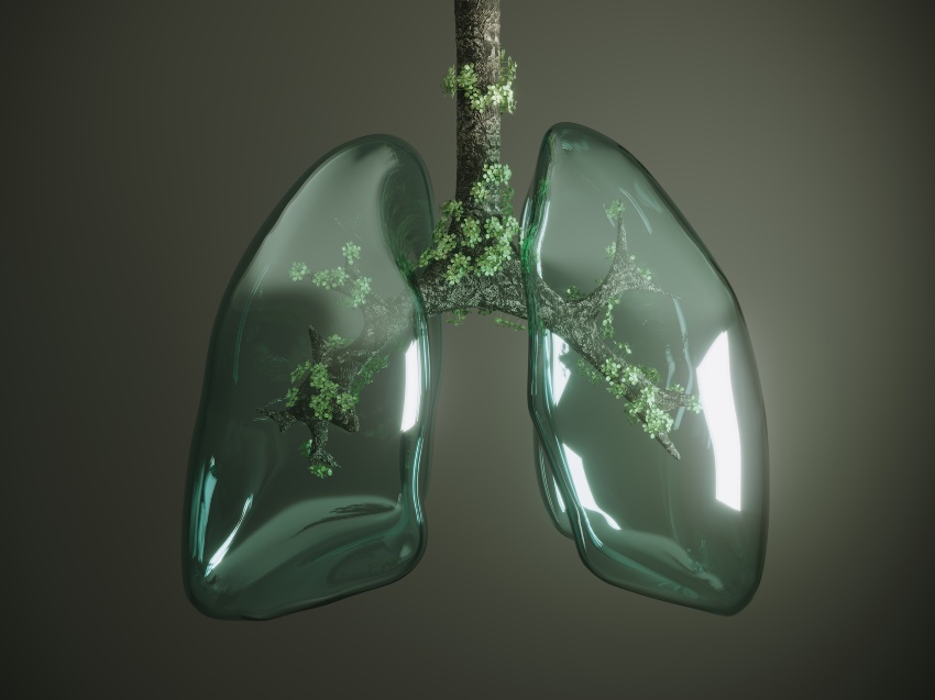 Botanical lungs illustrating a functional medicine strategy for mold toxicity in San Diego, CA